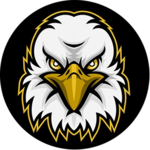 Eagle Vision